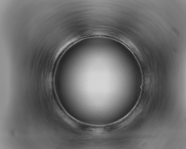 X0000113210798200909171533