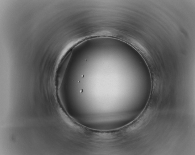 X0000113210800200909171533