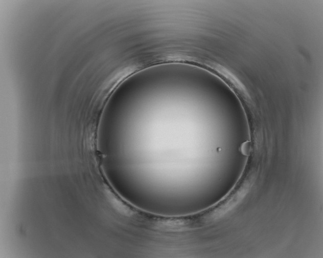 X0000113210801200909171533