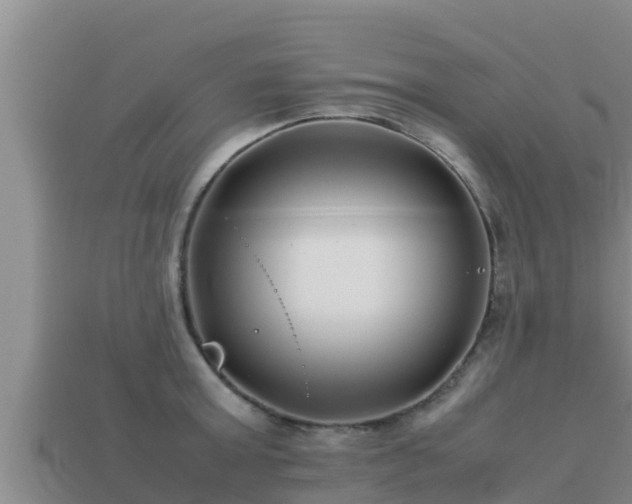 X0000113210803200909171533