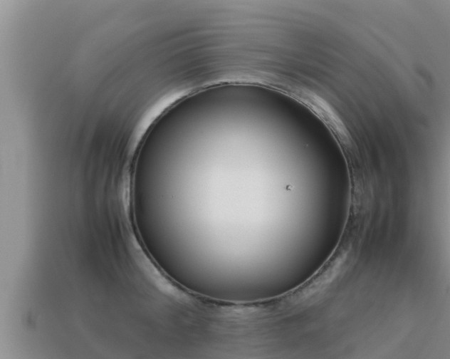 X0000113210804200909171533