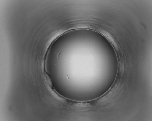 X0000113210805200909171533