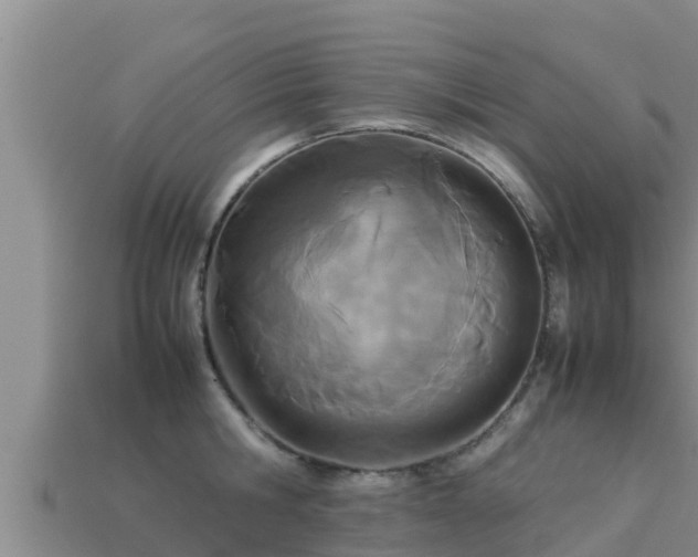 X0000113210806200909171533