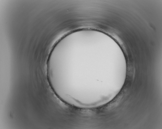 X0000113210807200909171533