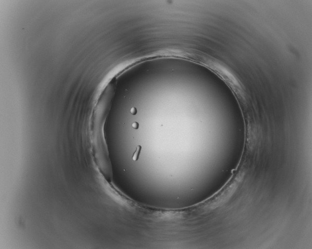 X0000113210808200909171533