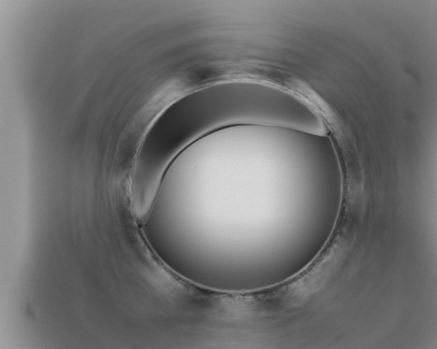 X0000113210809200909171533