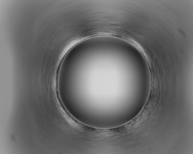 X0000113210811200909171533