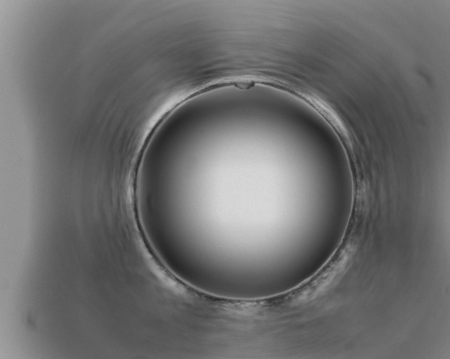 X0000113210813200909171533