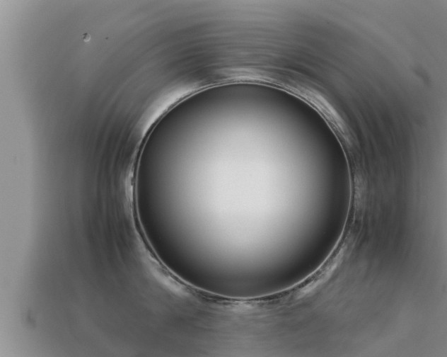 X0000113210814200909171533