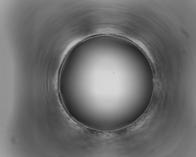 X0000113210815200909171533