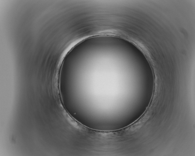 X0000113210816200909171533