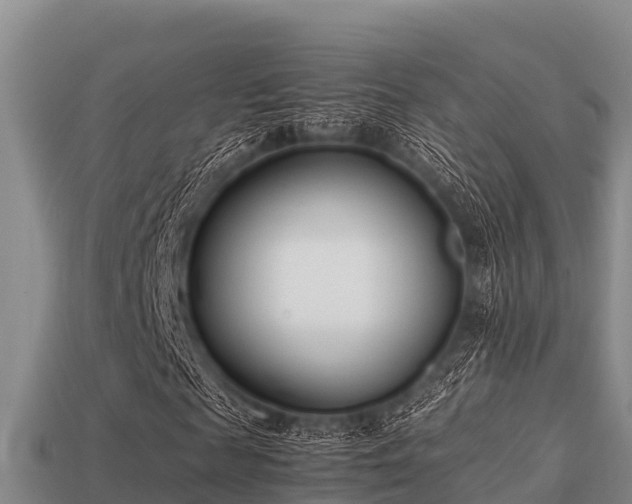 X0000113210817200909171532