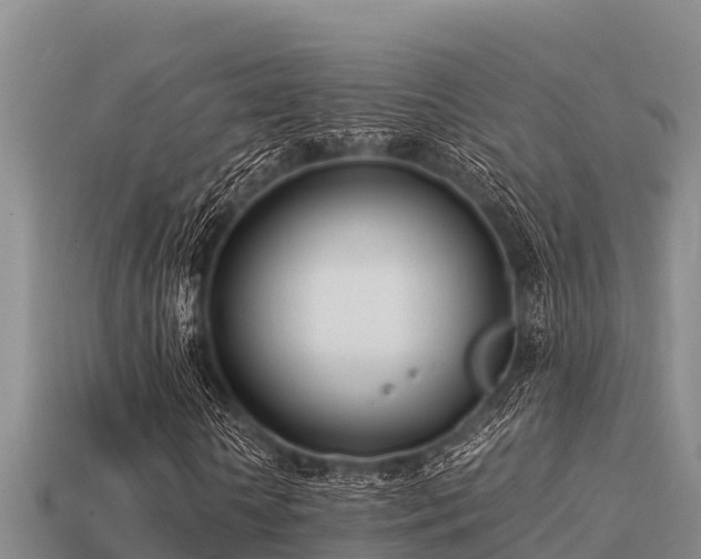 X0000113210818200909171532