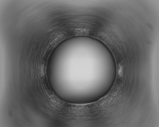 X0000113210819200909171532