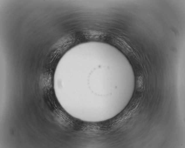 X0000113210820200909171532