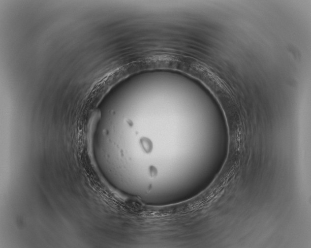 X0000113210821200909171532