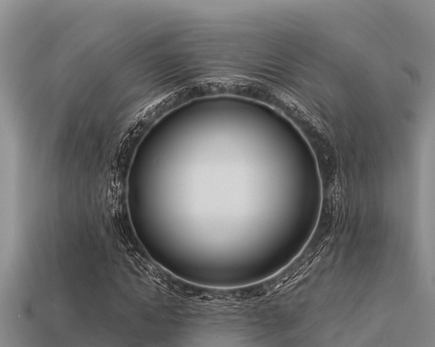 X0000113210822200909171532