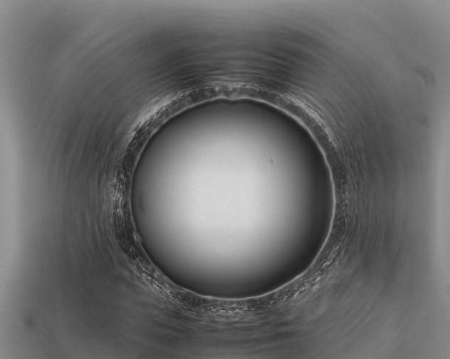 X0000113210823200909171532