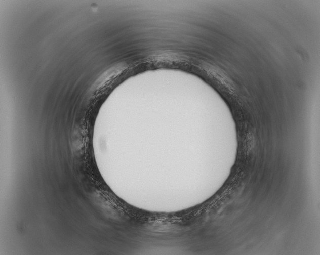 X0000113210824200909171532