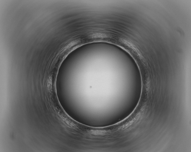 X0000113210825200909171532