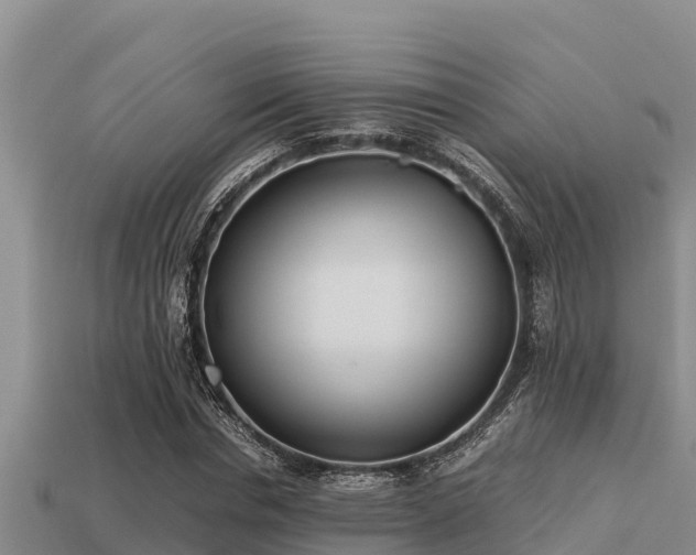 X0000113210826200909171532