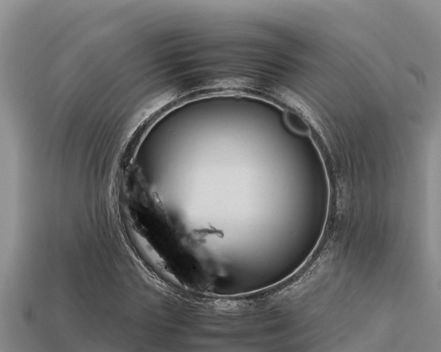 X0000113210827200909171532