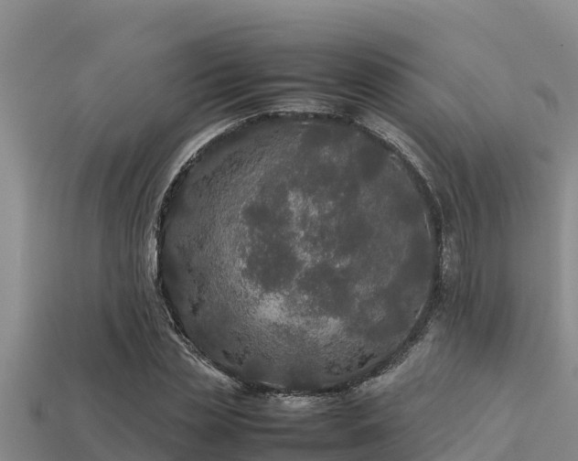 X0000113210829200909171532