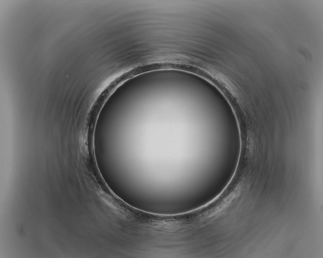 X0000113210830200909171532