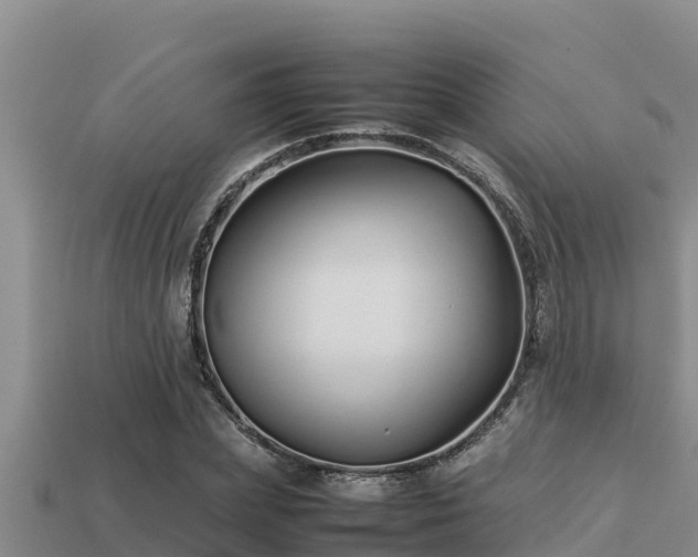 X0000113210831200909171532