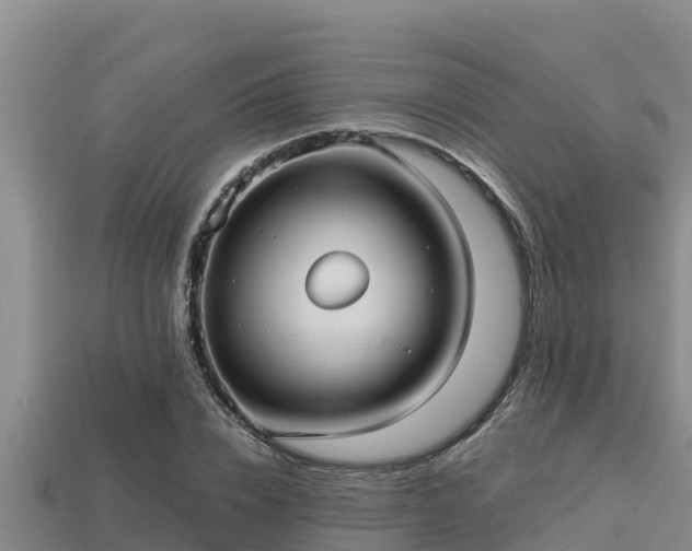 X0000113210832200909171532