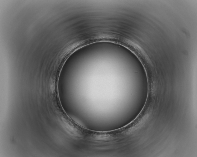 X0000113210833200909171532