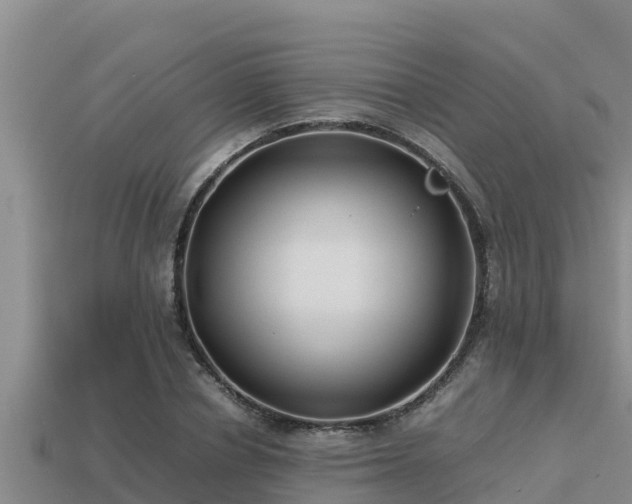 X0000113210834200909171532