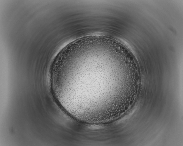 X0000113210835200909171532