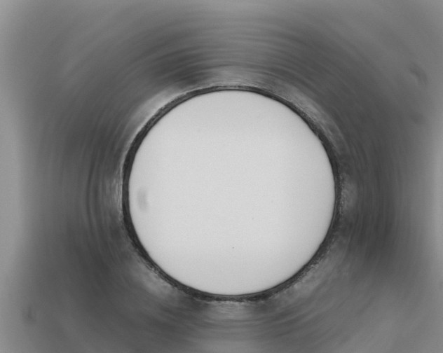 X0000113210836200909171532