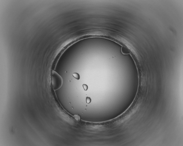 X0000113210837200909171532