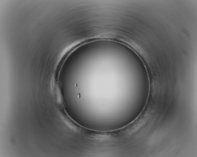 X0000113210838200909171532