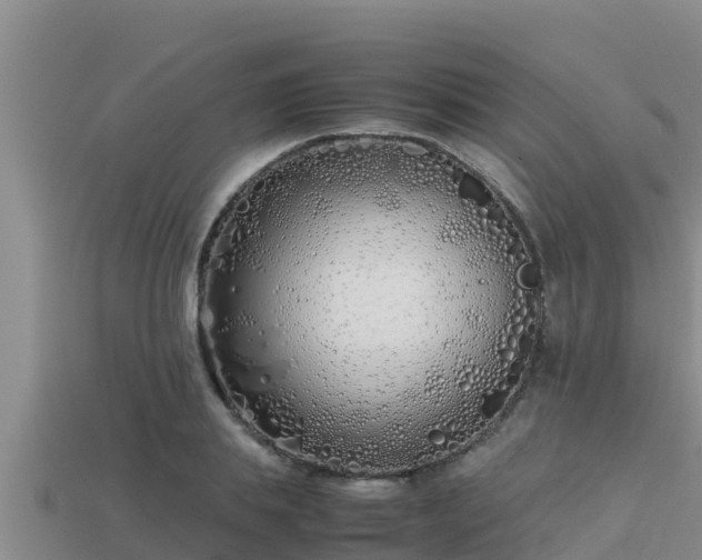 X0000113210839200909171532