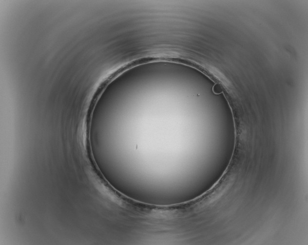 X0000113210840200909171532