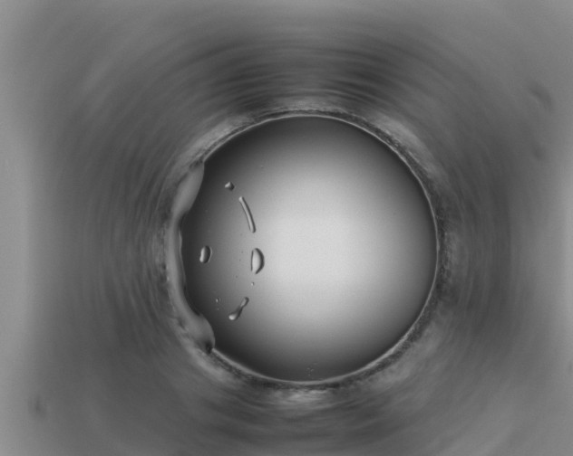 X0000113210841200909171532