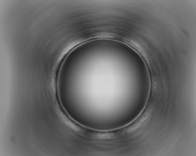 X0000113210843200909171532