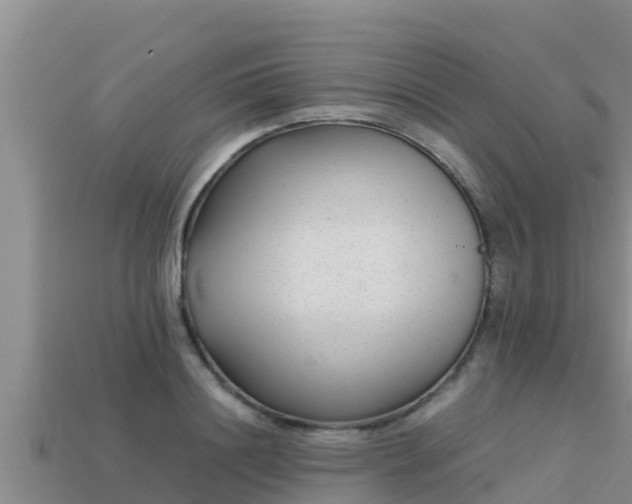 X0000113210844200909171532