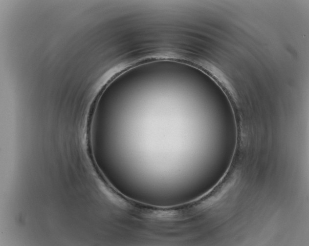 X0000113210845200909171532