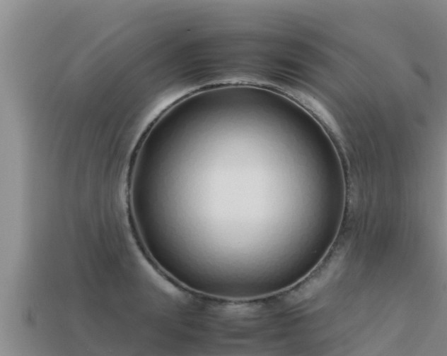 X0000113210847200909171532