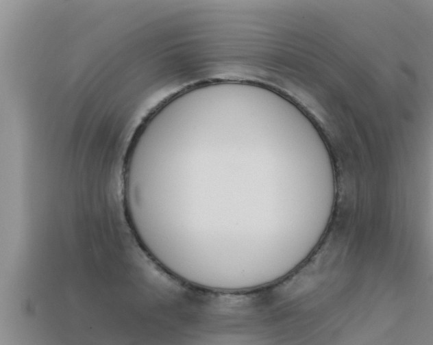 X0000113210848200909171532