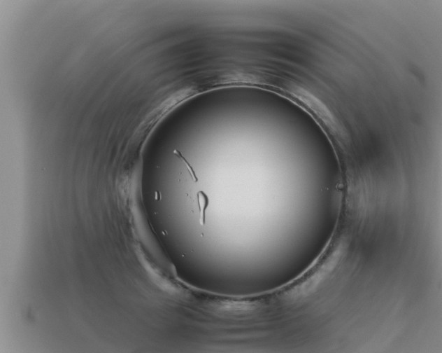 X0000113210849200909171532