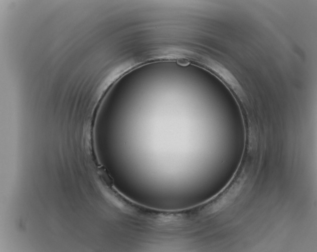 X0000113210850200909171533