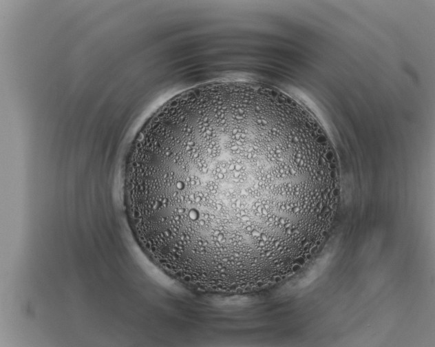 X0000113210851200909171533