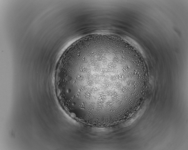 X0000113210855200909171533