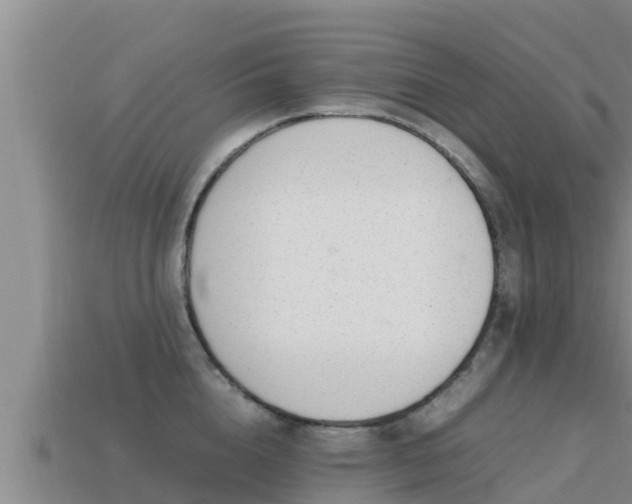 X0000113210856200909171533