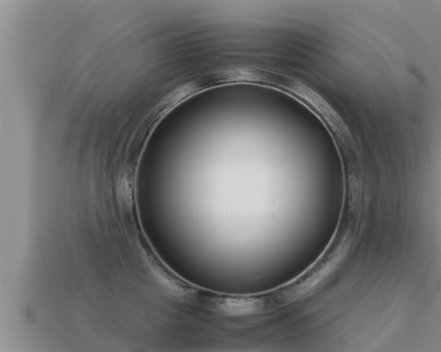 X0000113210857200909171533